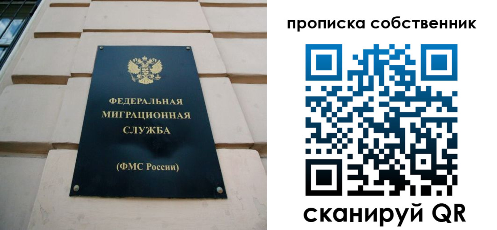 прописка законно в Оленегорске